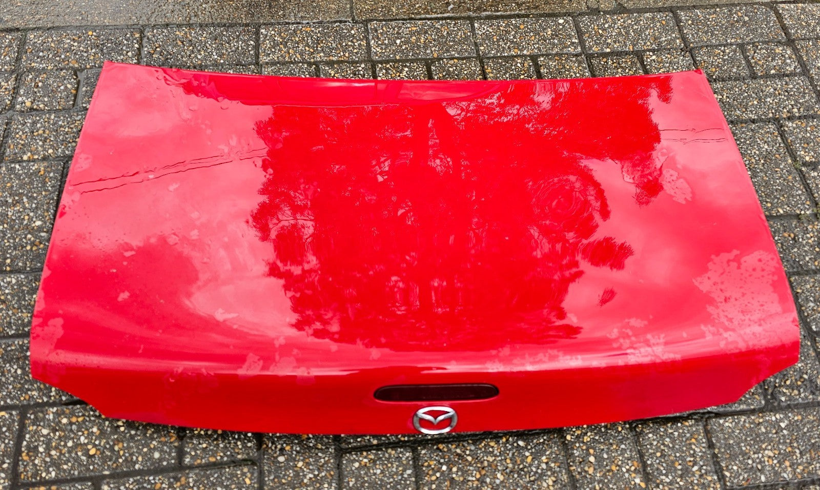 Image #9